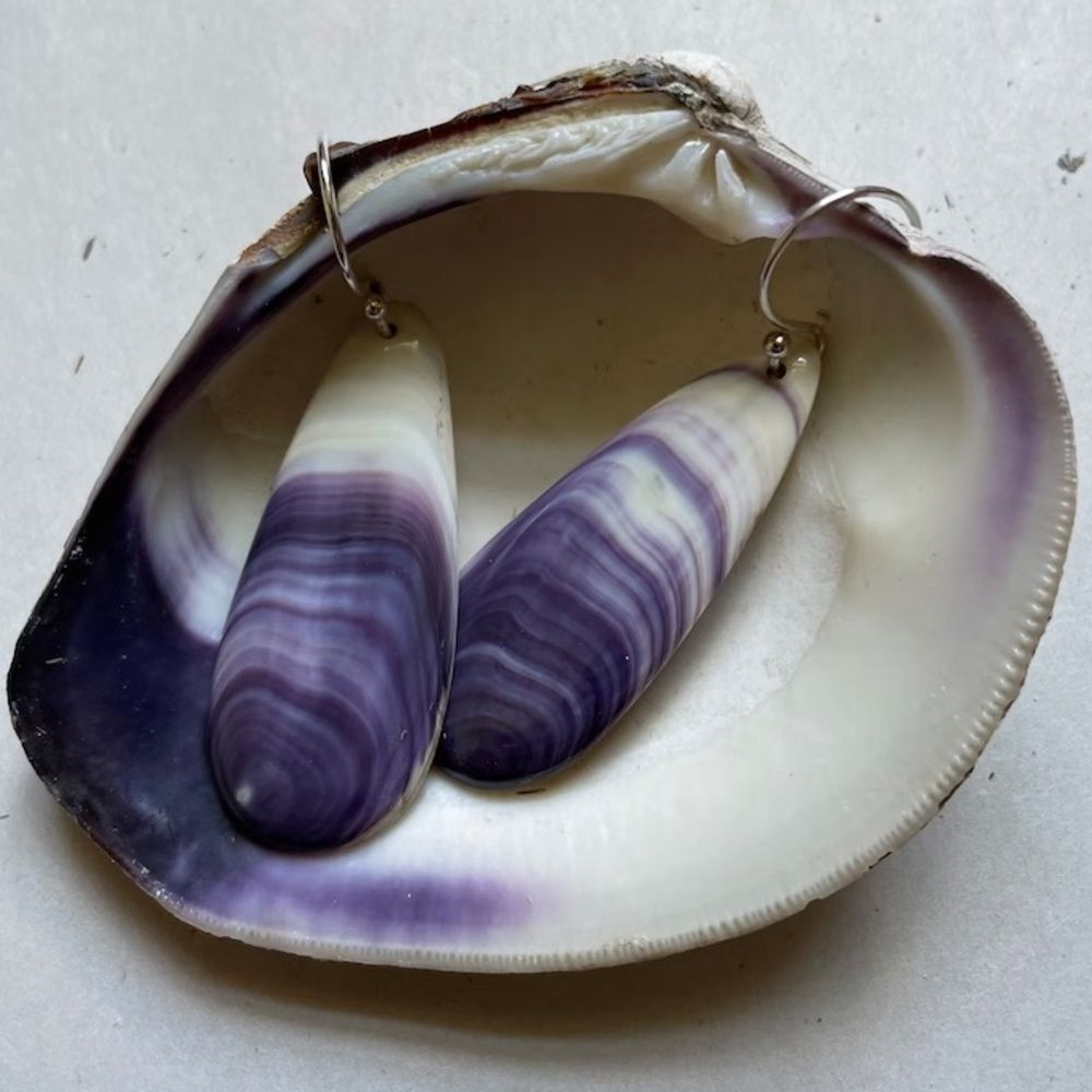 E3098 Wampum quahog shell earrings - Picture 3 of 3